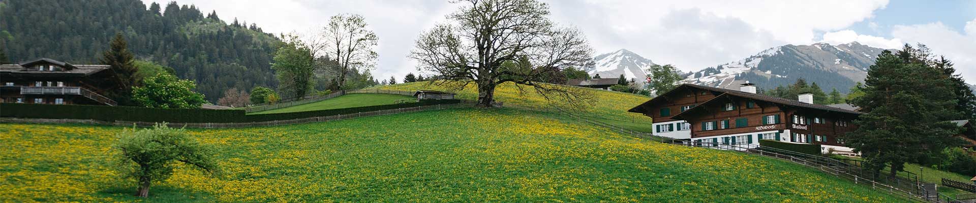 switzerland-banner